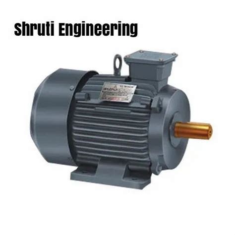 Three Phase Crane Duty Motor S Rs Shruti Engineering