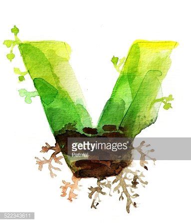 Hand Painted Watercolor Letter V Stock Vector | Royalty-Free | FreeImages