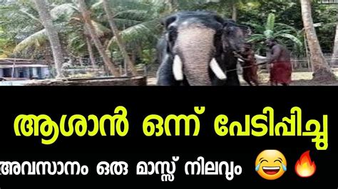 ആശാൻ തമാശക്ക് ഒന്ന് പേടിപ്പിച്ചതാ😂😂 അവസാനം ഒരു നിലവും👌🔥ഒല്ലൂക്കര ജയറാം💖