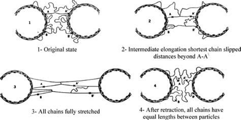 Molecular Slippage And Carbon Black Reinforcement Goodyear Rubber