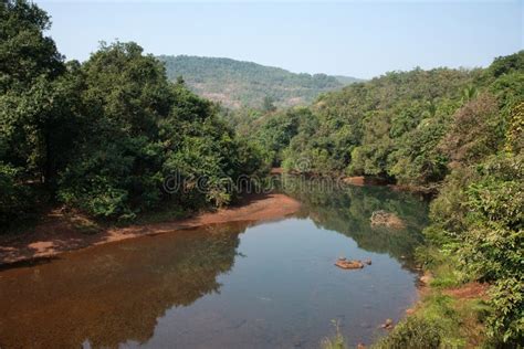 Kotjai River Surrounded By Dense Forest Dapoli Konkan Stock Image