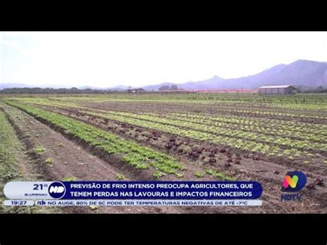 Previsão de frio intenso preocupa agricultores que temem perdas