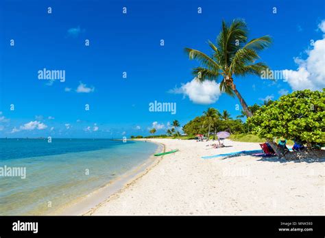 Sombrero Beach With Palm Trees On The Florida Keys Marathon Florida Usa Tropical And