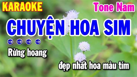 Karaoke Chuyện Hoa Sim Tone Nam Rumba Beat Chuẩn 2024 Nhạc Sống Hải