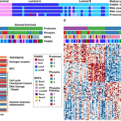 Proteomic And Phosphoproteomic Subtypes Of Breast Cancer And