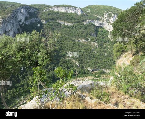 The spectacular garrigue landscape of the Gorges de l'Ardeche with its ...