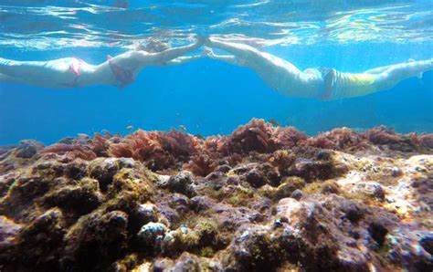 Riserva Marina Di Madeira Escursione In Kayak E Snorkeling Getyourguide