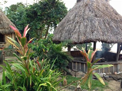 Votua Village Tourism Best Of Votua Village Fiji Tripadvisor