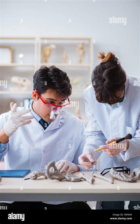 Profesor estudiando esqueleto humano en el laboratorio Fotografía de