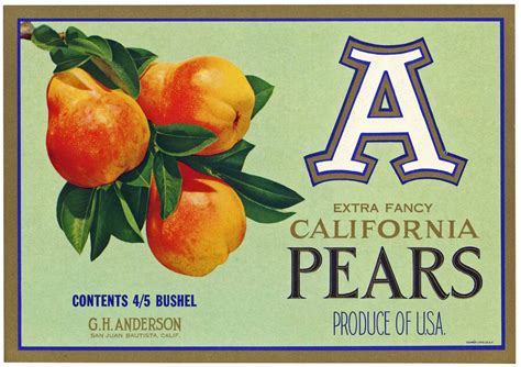 Pear Fruit Crate Labels Thelabelman