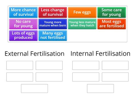 Internal And External Fertilisation Group Sort