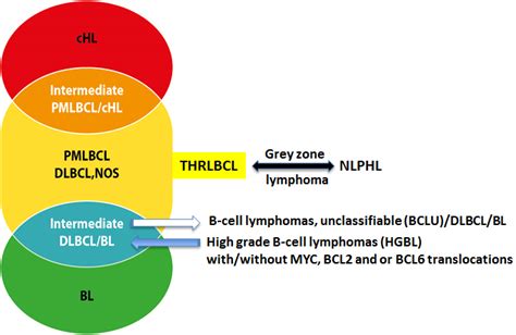 T Cell Histiocyte Rich Large B Cell Lymphoma