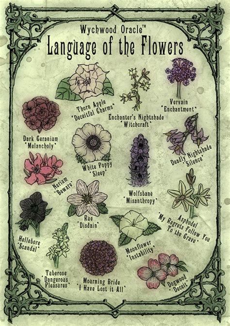 Darker Flowers Print Poison Garden Language Of The Flowers Etsy