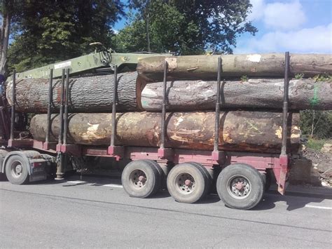 Quelques Beaux Bois Trouv Par Becbois Sur L Air Du Bois