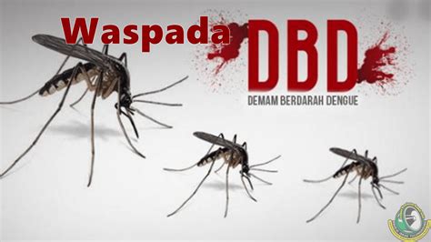 Demam Berdarah Dengue Newstempo