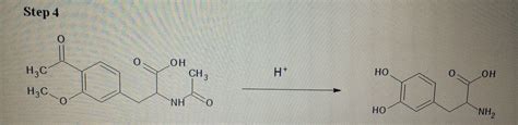 Brittany S Journey Through Organic Chemistry 2 L DOPA