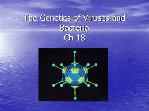 Ppt The Genetics Of Viruses And Bacteria Ch 18 Powerpoint