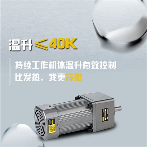 AC220V 50/60HZ 300W AC мотор-редуктор, высокий крутящий момент ...