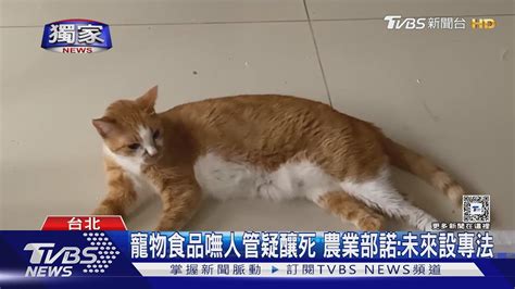 獨家 延燒3個月 飼料疑釀「200貓低血鉀 逾20亡」｜tvbs新聞 Tvbsnews01 Youtube