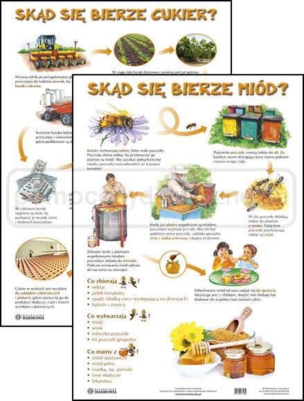 Plansze SKĄD SIĘ BIERZE Zestaw nr 3 plansze zalaminowane 5 szt