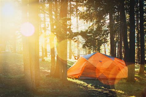 5 Tips For Summer Camping ASO Mammoth