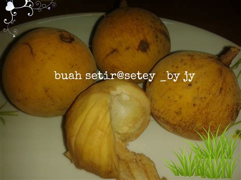 RESEPI SUMBANGAN JY 2008-2023: BUAH SETIR@SETEY DAN BUAH SETOL@SETOI ...