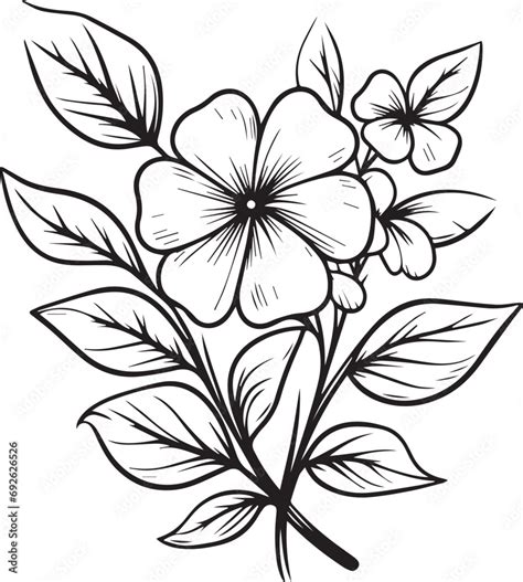 Periwinkle Flower Sketch Clip Art Minimalist Periwinkle Flower Outline