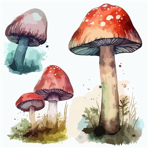 Premium Vector Mushroom Set Mushroom Watercolor Painting Package