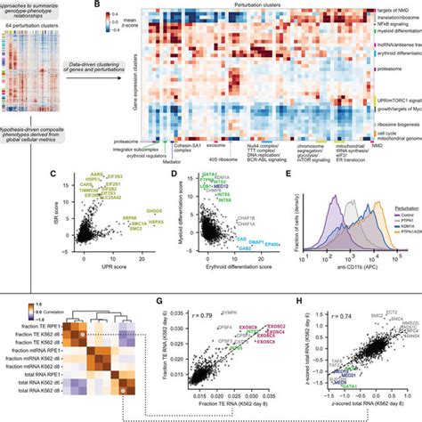 Summarizing Genotype Phenotype Relationships With Perturb Seq A Download Scientific Diagram