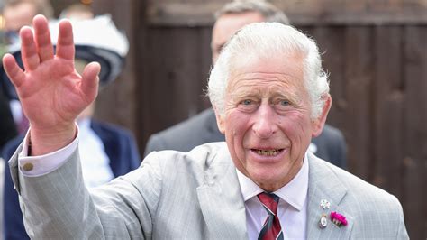 King Charles Hands / Prince Charles Sparks Concern After Fans Spot ...