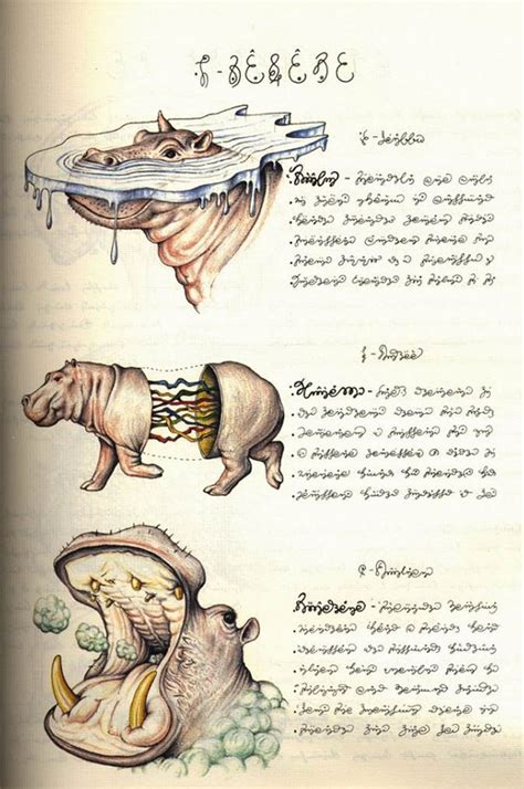 Самая странная книга на свете теперь и в России