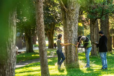 Urban Forestry Research | UBC Faculty of Forestry