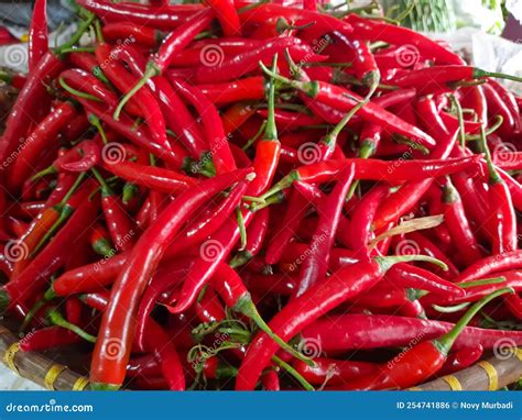 Red Chili Photo, in Indonesia Most of the Food Uses Red Chili Stock ...