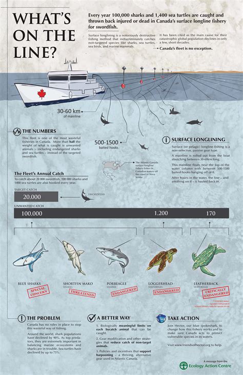 Swordfish Certifications And Sustainable Seafood Southern Fried Science