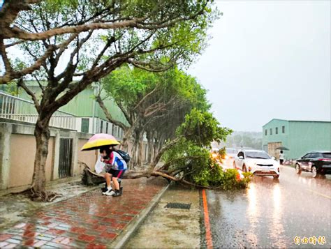 台中19路段積淹水 民代批預防不力 臺中市 自由時報電子報