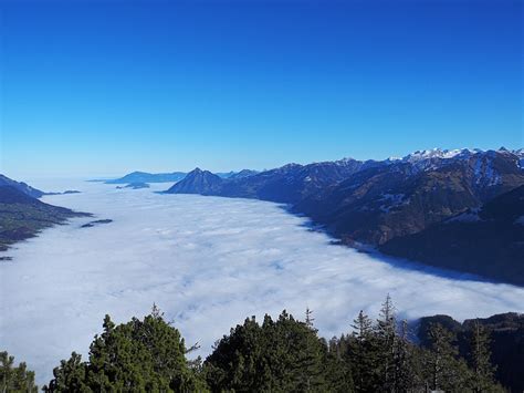 Nebelmeer über der Zentralschweiz Fotos hikr org