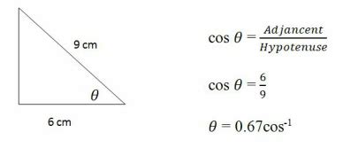 Cosine Ratio - Grade 10 principles of mathematics