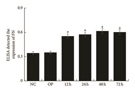 The Expression Of Tgf And Fn In Mesangial Cells Treated With