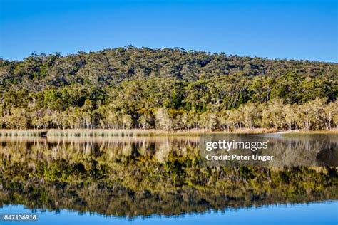 North Lakes Queensland Photos And Premium High Res Pictures Getty Images