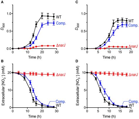 Comparative Growth Curves And No3 ‐uptake Profiles For Wt ∆narj And