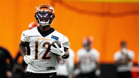 Bengals Roster Breakdown: Shedrick Jackson is the dark horse receiver ...