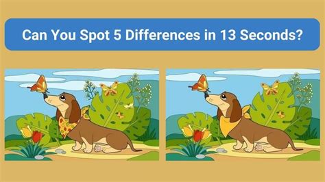 Spot The Difference Can You Spot 5 Differences Between The Two Images