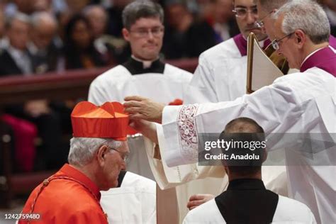 277 Christian Steiner Photos And High Res Pictures Getty Images