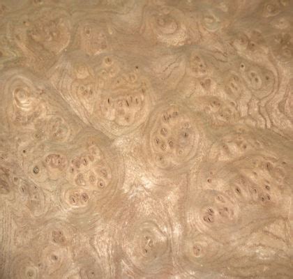 Carpathian Elm Burl Aa Grade Wood Veneer Sheet Jso Wood Products