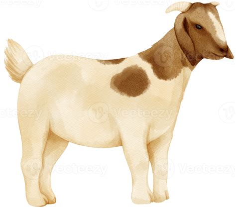 Goat Watercolor Farm Animals 9373353 Png