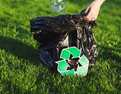 Portugal Precisa De Reciclar Mais Embalagens Para Cumprir As Metas De