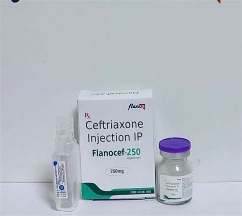 FLANOCEF 250MG Ceftriaxone 250mg Injection At Rs 31 74 Vial In Kala Amb