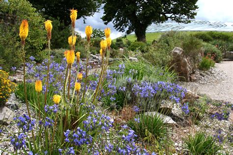 National Botanic Garden of Wales