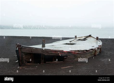 An Old Abandoned Wooden Boat On The Shore; Whalers Bay Antarctica Stock ...