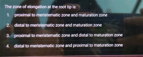 zone  elongation   root tip  proximal  meristematic zone